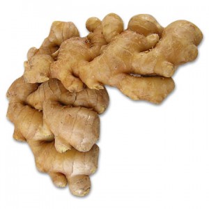 ginger ginger root