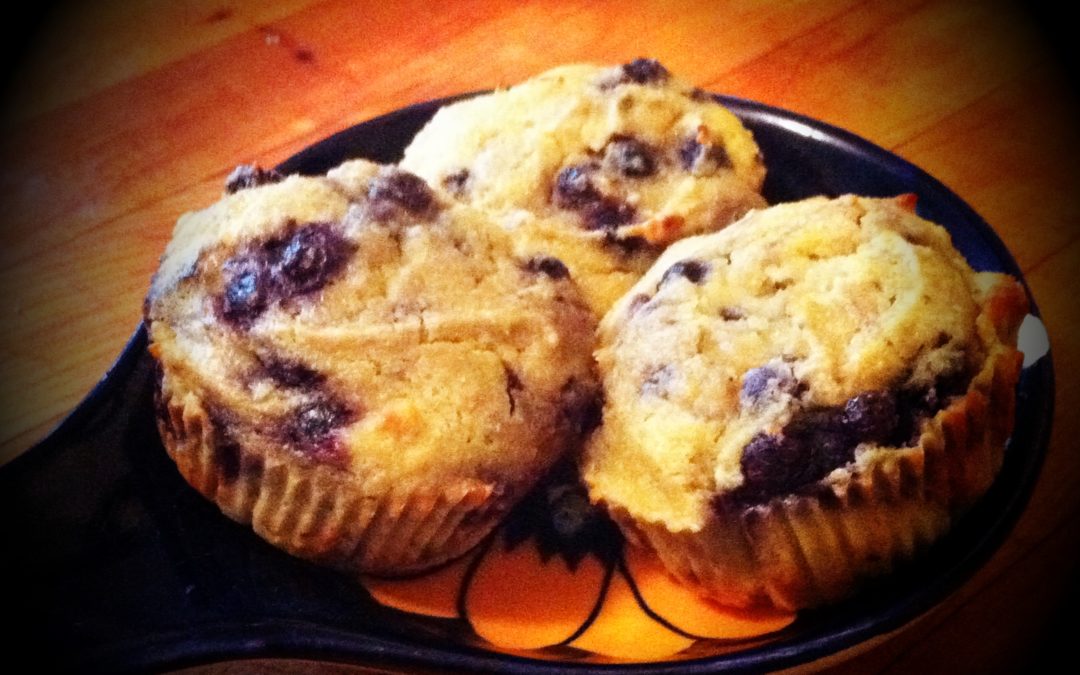 Blueberry Coconut Flour Muffins
