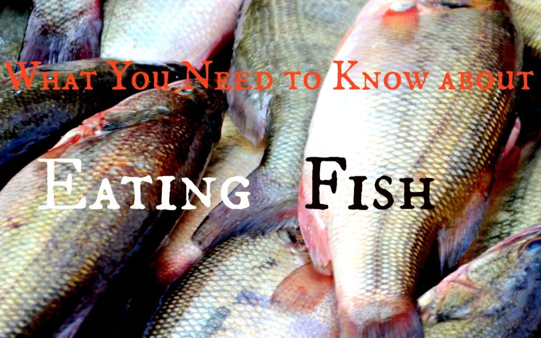 What You Need to Know about Farmed Fish