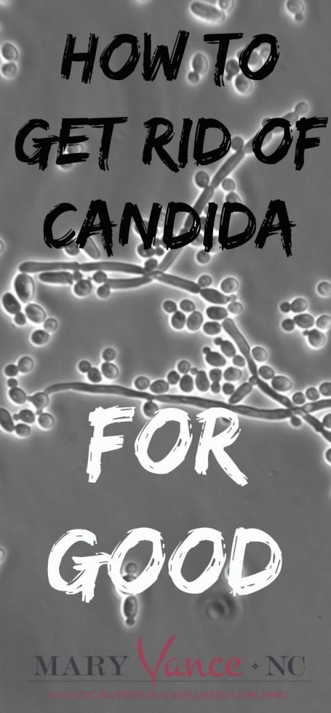 A Holistic Guide on How to Get Rid of Candida Overgrowth--Mary Vance, NC