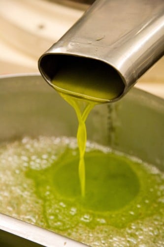 olive oil pressing at MvEvoy Ranch (photo courtesy of McEvoy Ranch)