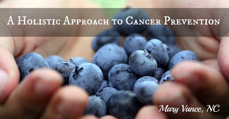A Holistic Approach to Cancer Prevention