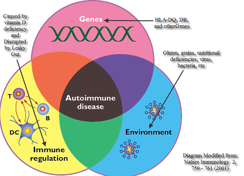 Autoimmune-disease-diagram1