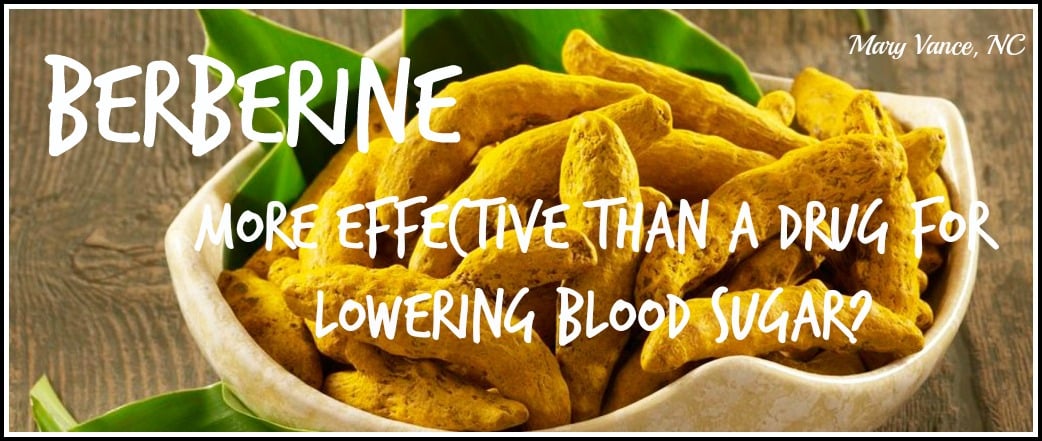 Berberine: More Effective than a Drug?--Mary Vance, NC
