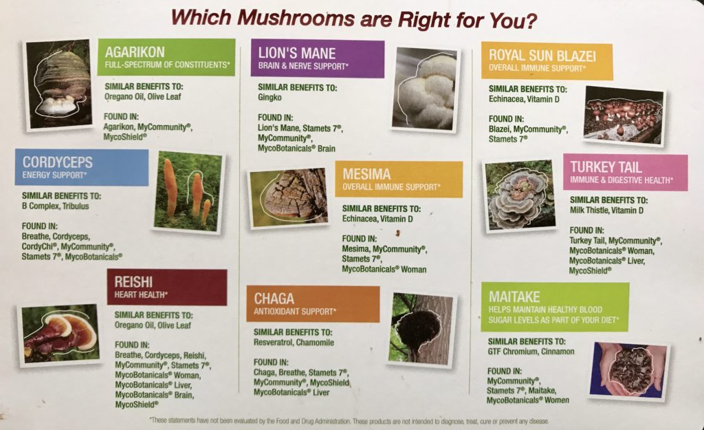 medicinal-mushroom-chart