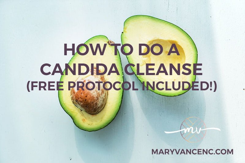 How to Do a Candida Cleanse (FREE Protocol Included!)