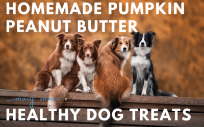 Pumpkin Peanut Butter Homemade Dog Treats (Gluten Free)