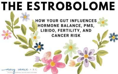 The Estrobolome: How Your Gut Influences Your Hormones